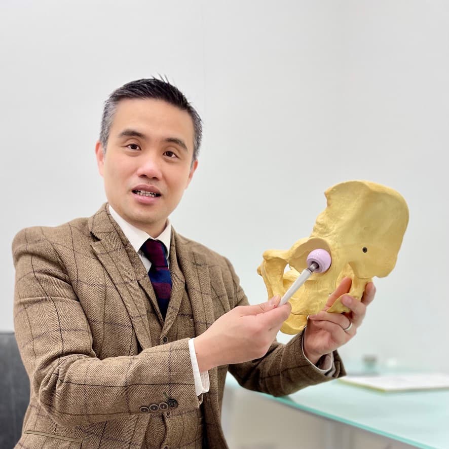 Professor Lee demonstrating joint anatomy with a pelvis model during consultation